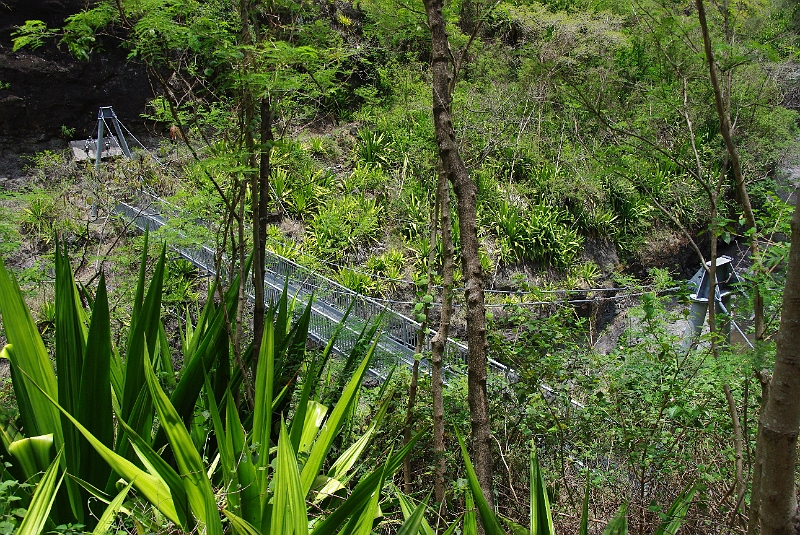 Cirque de Mafate 'Cayenne - Ilet des Lataniers' (56).JPG